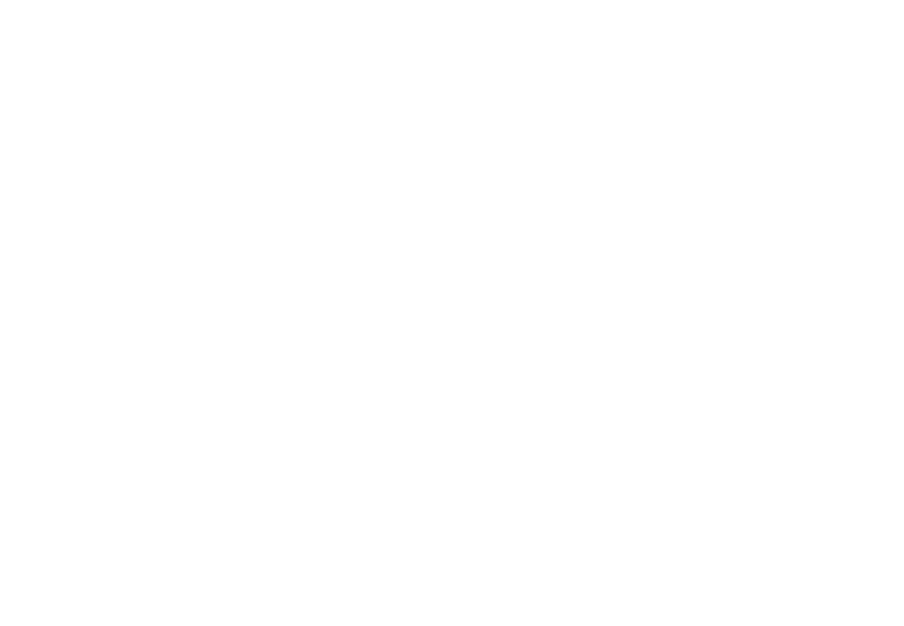 RAEMIPAY